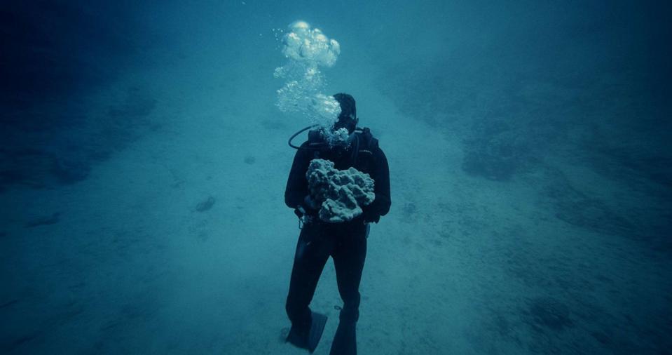 PHOTO: Kuleana Coral Reefs, a nonprofit organization is helping to restore and protect Hawaii's coral reefs and native ecosystem. (Kuleana Coral Reefs)