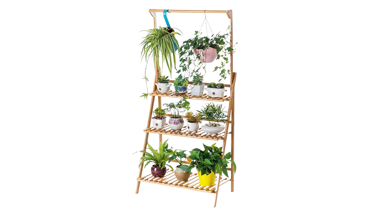 plants on a bamboo stand