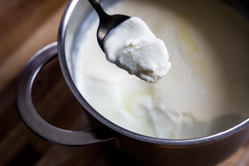 Eating fermented foods such as yogurt shapes the form and function of your microbiome. <a href="https://www.gettyimages.com/detail/photo/homemade-yogurt-royalty-free-image/1282317369" rel="nofollow noopener" target="_blank" data-ylk="slk:Basak Gurbuz Derman/Moment via Getty Images;elm:context_link;itc:0;sec:content-canvas" class="link ">Basak Gurbuz Derman/Moment via Getty Images</a>