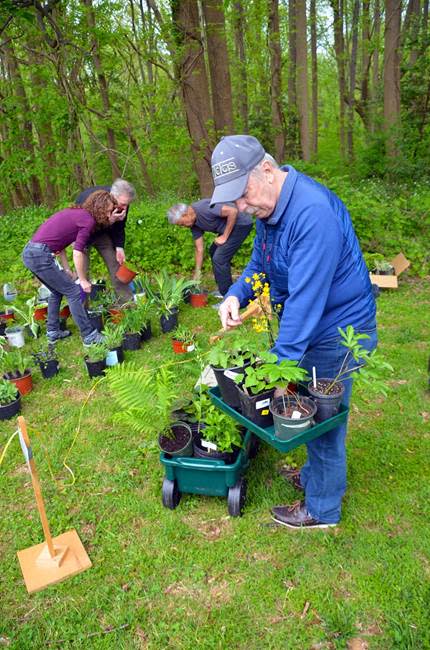 Participants can bring plants in 1-quart, 1-gallon or 2-gallon containers to Tatum Park, Red Hill Road, Middletown, on Saturday, May 7, and take home the same size and number during the Great Spring Perennial Plant Swap.