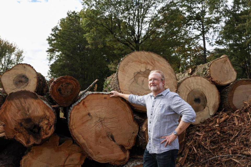 “The growth of decades gone in two weeks,” says Thomas Templeton, a Derita neighborhood resident who lives on Lisbon Lane, standing with felled tree trunks along Sugar Creek Road on Thursday, October 12, 2023. Twenty-two mature oak trees on a two-block stretch of Sugar Creek Road are being cut down to make way for a new water line to be installed that will benefit residents of the Hidden Valley neighborhood.