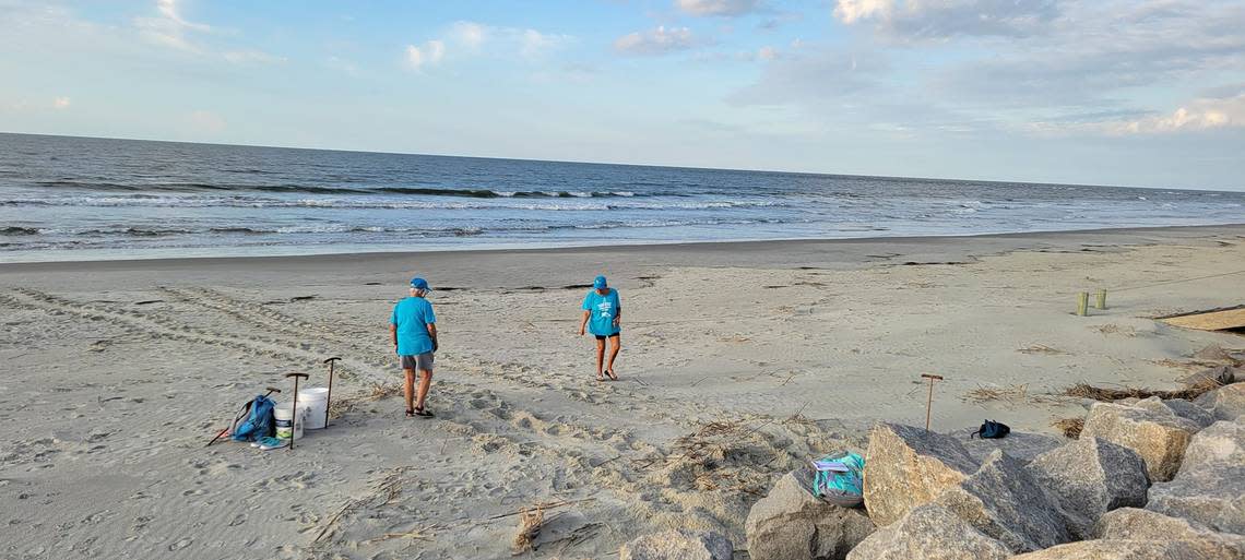 Members of the Fripp Island Loggerhead Patrol found Beaufort County’s first sea turtle nest of the season on Sunday, May 5, 2024.