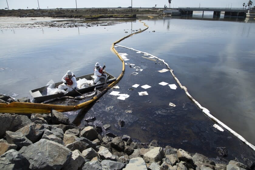 HUNTINGTON BEACH, CA - OCTOBER 03: Workers with Patriot Environmental Services clean up oil that flowed into the Talbert Marsh in Huntington Beach. Authorities said 126,000 gallons of oil leaked from the offshore oil rig Elly on Saturday. Photographed in Talbert Marsh on Sunday, Oct. 3, 2021 in Huntington Beach, CA. (Myung J. Chun / Los Angeles Times)