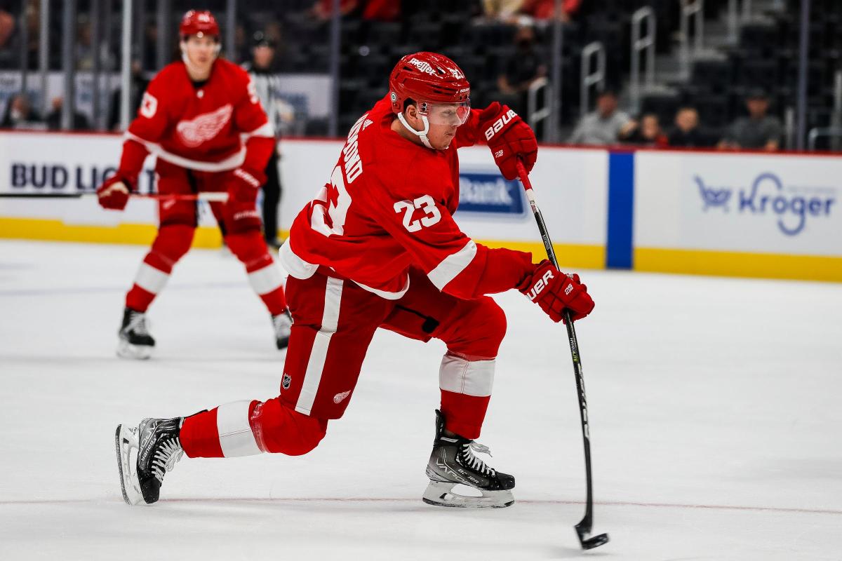 WATCH: Red Wings' Dylan Larkin makes game-saving play with heroic