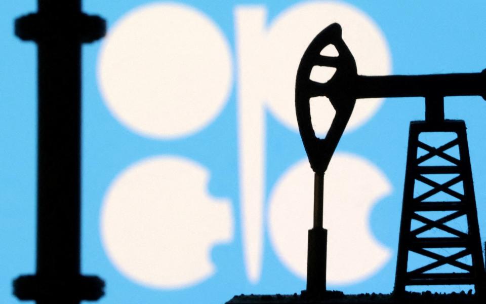 Opec has released its Monthly Oil Market Report for November