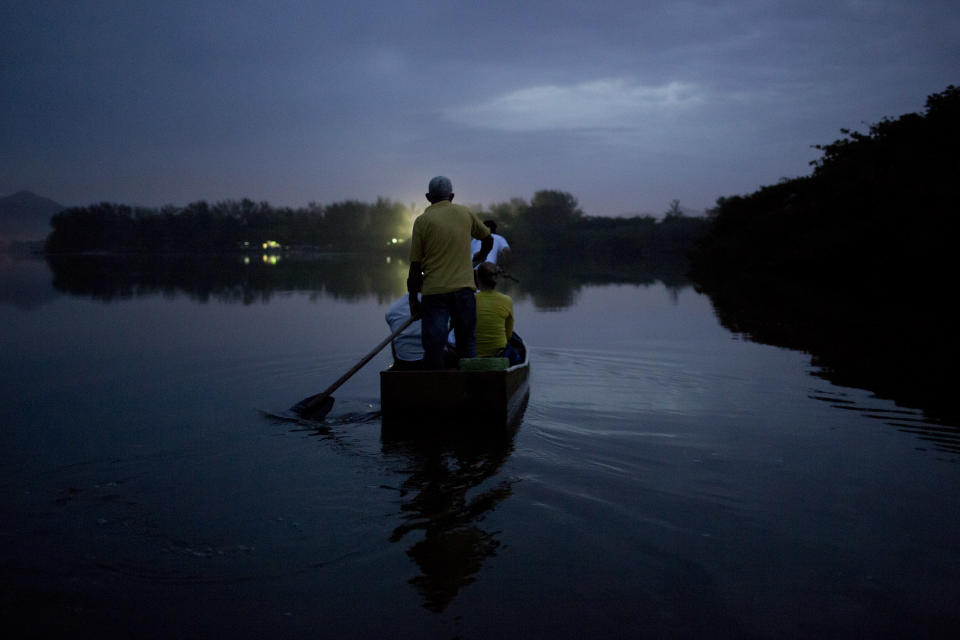 In this Oct. 14, 2013 photo, ecology professor Ricardo Freitas and his crew search for broad-snouted caimans in the Marapendi Lagoon in Rio de Janeiro, Brazil. Some of the animals have taken refuge in ponds being built inside the Olympic golf course, which abuts a once pristine mangrove-filled lagoon that’s now thick with tons of raw sewage pumped from nearby high-end condominiums. (AP Photo/Felipe Dana)