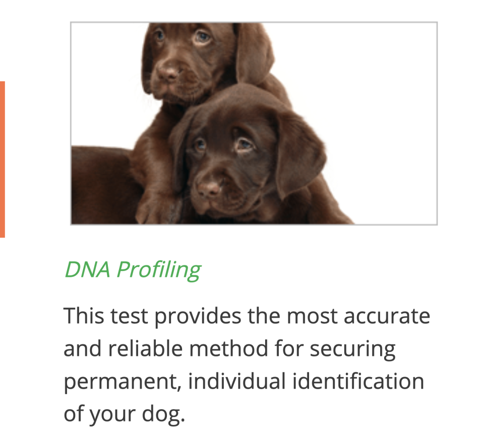 Canine DNA Profiling