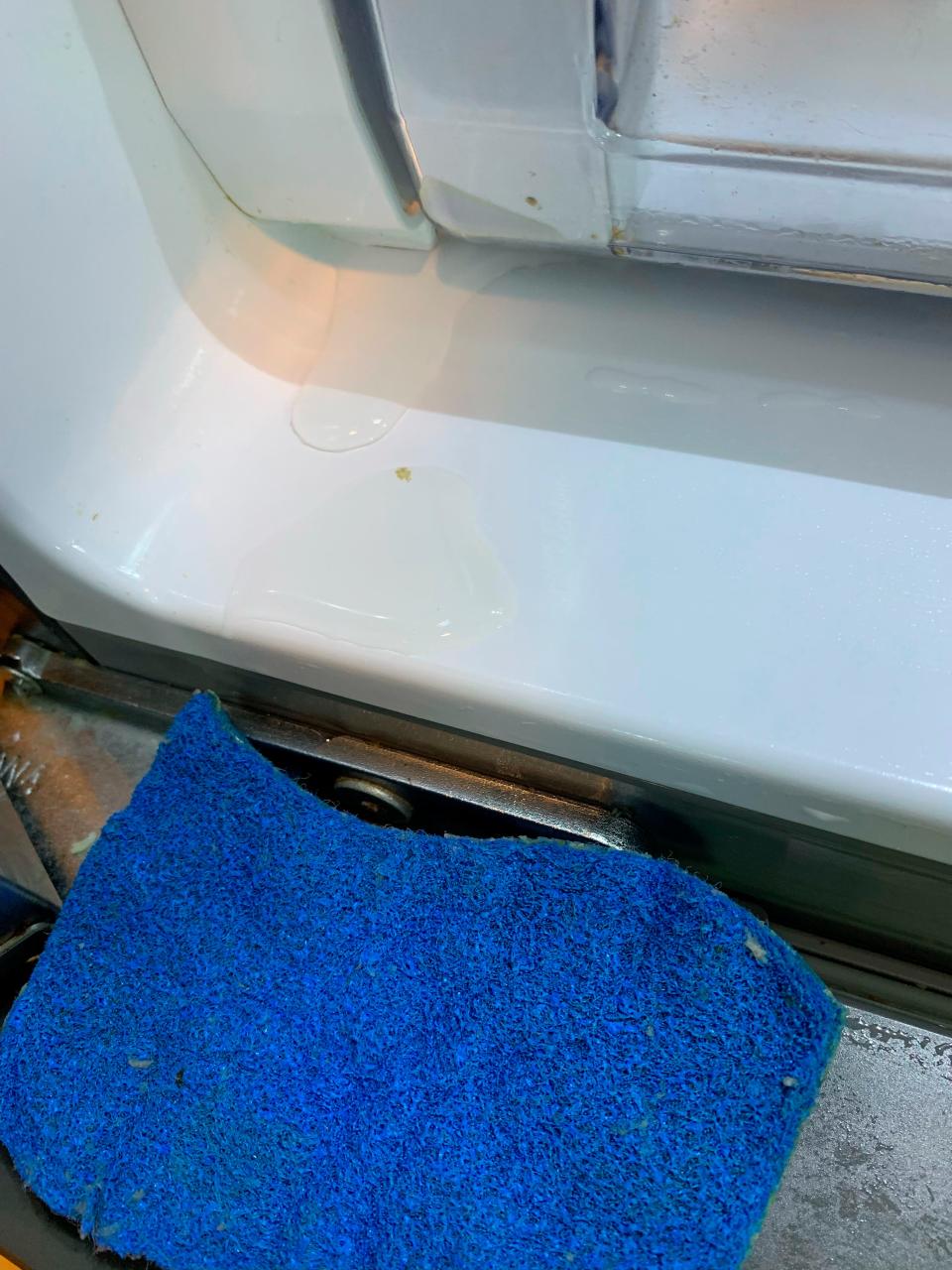 Samsung refrigerator owner Maegan Prakashpalan took this photo she says shows water actively leaking out of the bottom of the unit.