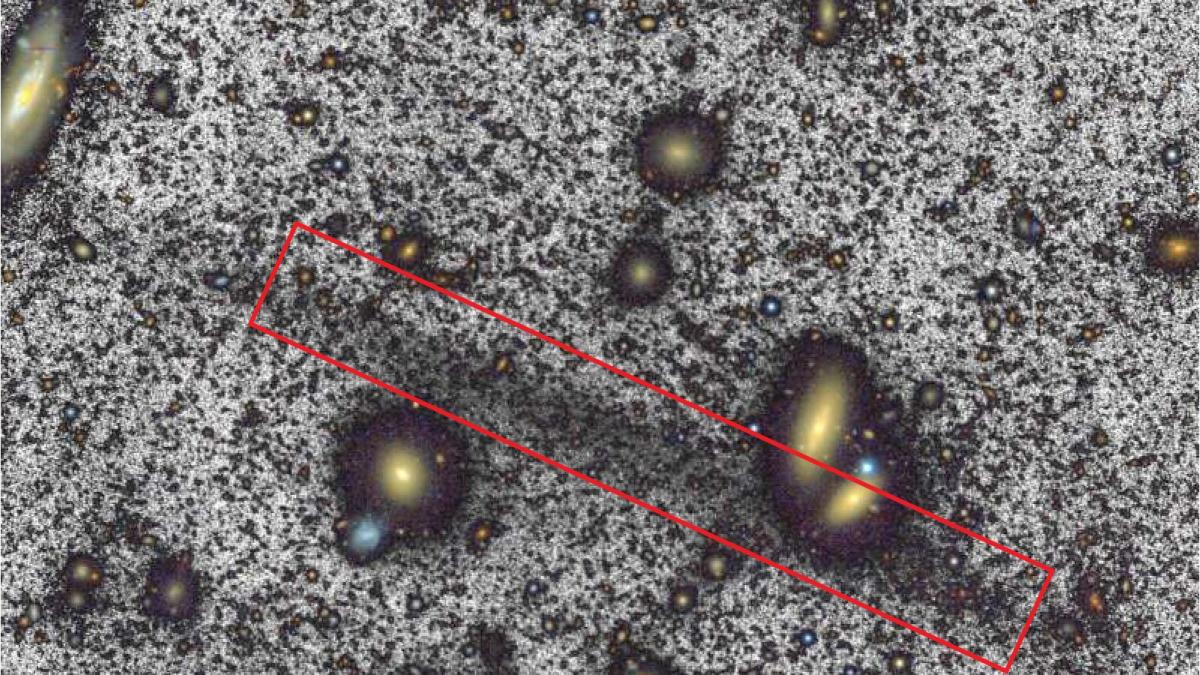 Scientists discover the fastest stars ever seen in the Milky Way