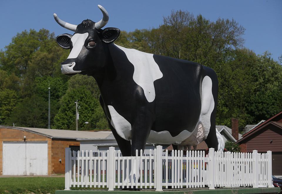 A 19-foot-tall statue of cow Lacey May stands at the headquarters of Minerva Dairy, which has been family-owned for 128 years.