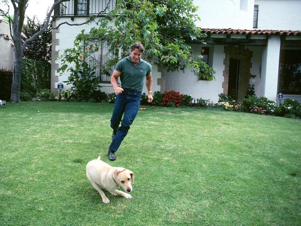 Arnold Schwarzenegger runs with his dog outside his home in Santa Monica.