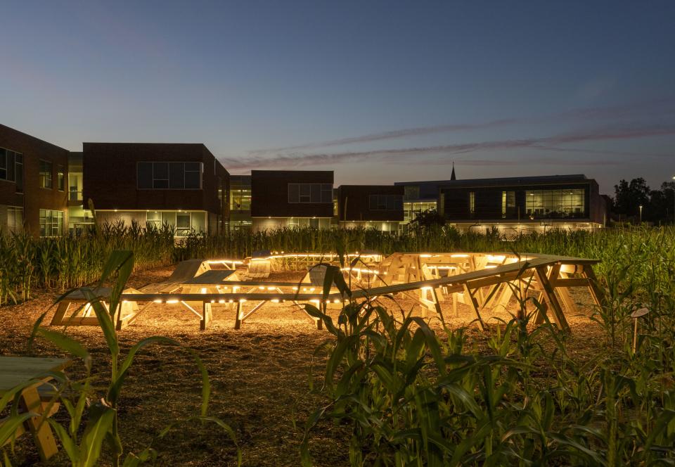 At night, the tablescape is lit from below and glows within the cornfield in an alien-like way. Differing heights of corn provide intrigue while representing the most prominent varieties grown in the state.