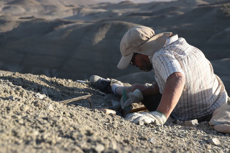 El Explorador de National Geographic, Diego Pol, y un equipo global de investigadores y paleontólogos identificaron una nueva especie de dinosaurio carnívoro llamado Koleken inakayali.