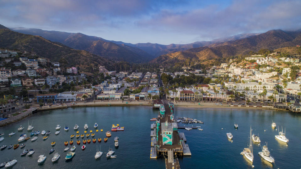 Boats docked in the harbor of a seaside town