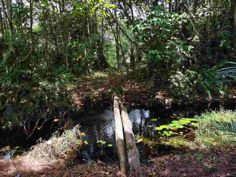 The entrance to the Kuala Langat forest reserve at Kampung Orang Asli Busut Baru in Banting February 20, 2020. ― Picture by Shafwan Zaidon