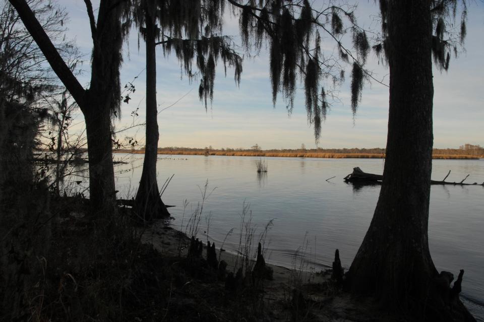 Glenburnie Park Trail in New Bern