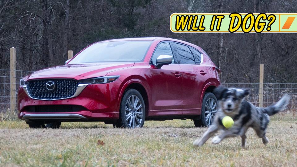 2024 Mazda CX-5 Turbo Signature: Will It Dog? photo