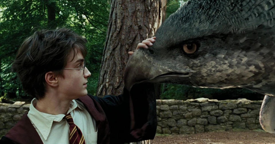 There’s a video of a real life hippogriff and we’re freaking out because Hogwarts must be real