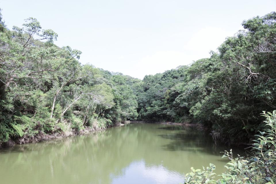 甜水鴛鴦湖（圖片來源：台北市政府文化局）