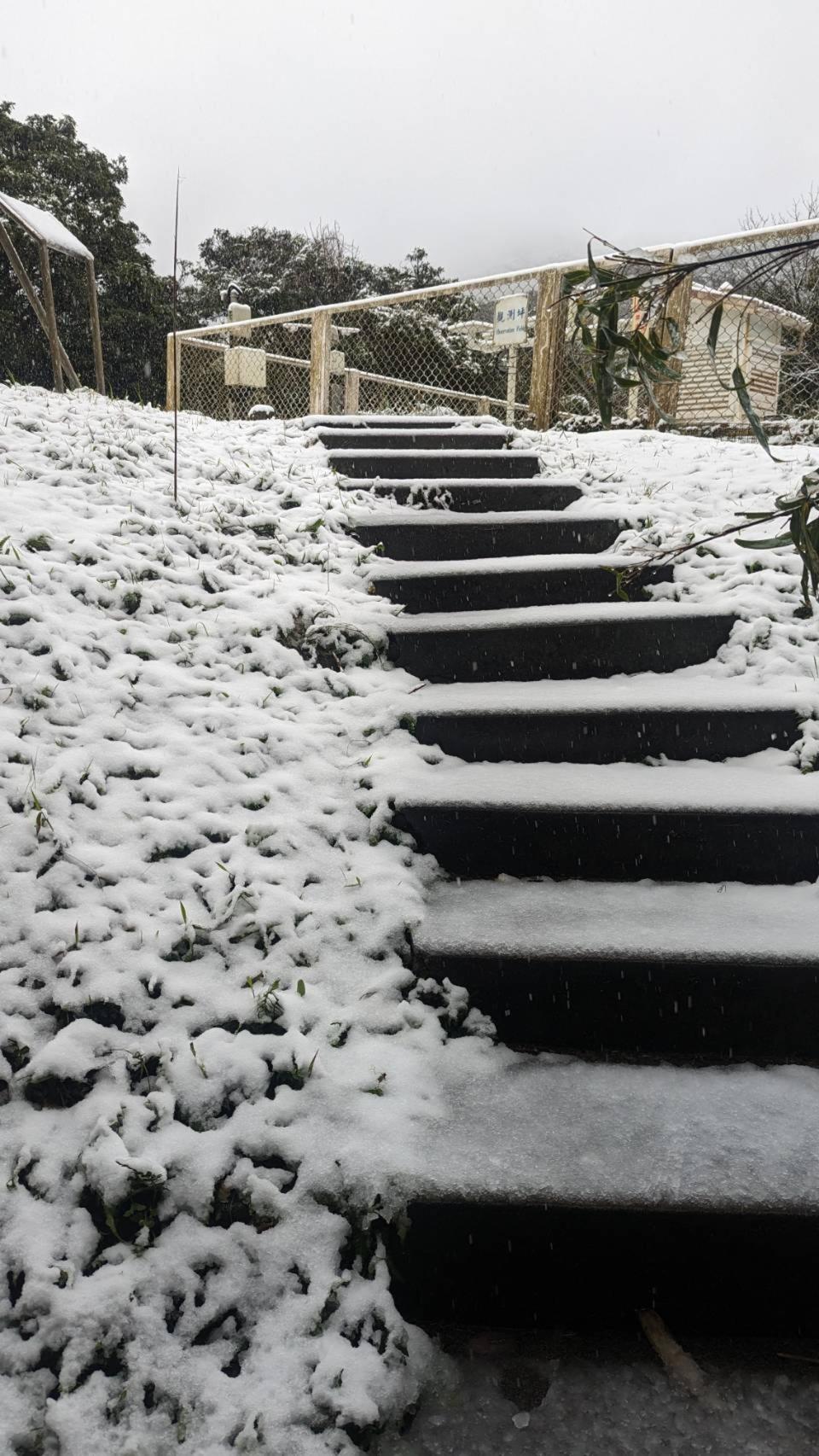 陽明山鞍部氣象站今早開始飄雪。（氣象署提供）