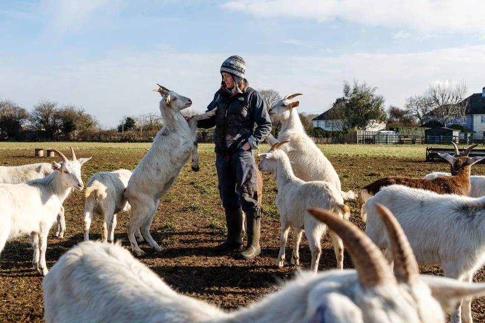 Lizzie Dyer runs Just Kidding, a farm producing free-range kid goat meat in Cirencester, England. (Photo: Miles Willis via Getty Images)