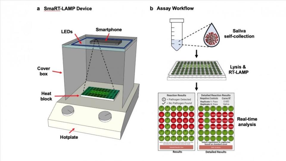 SmaRT-LAMP