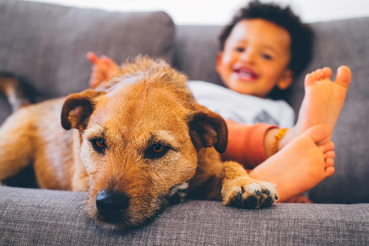 small boy sitting with his dog; growing up with a dog can improve children's health and happiness
