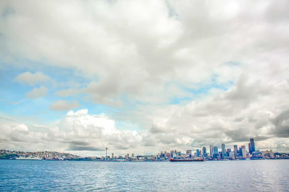 Seattle Skyline from Alki Beach Park, Seattle