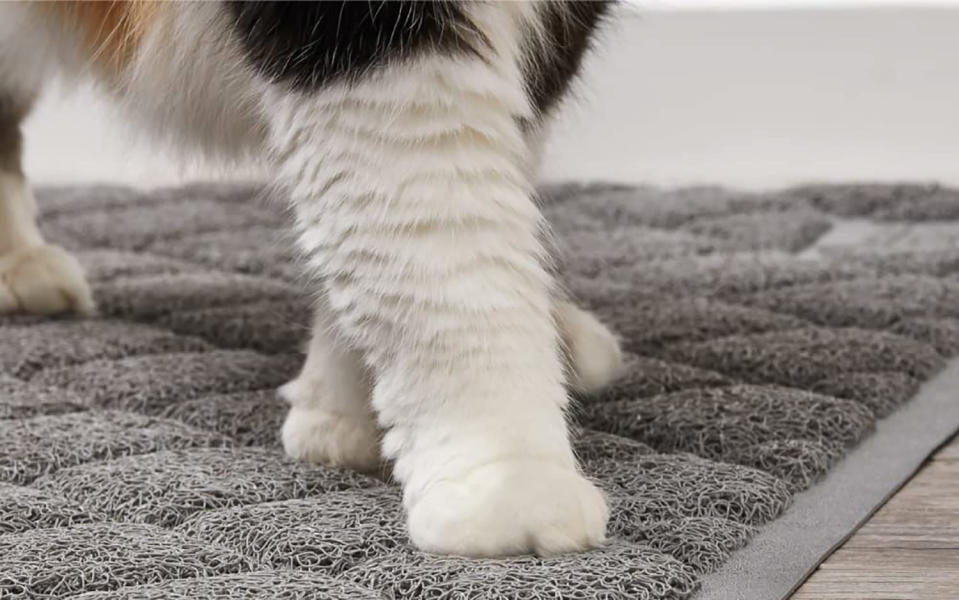 Best Litter Mats For Your Cat