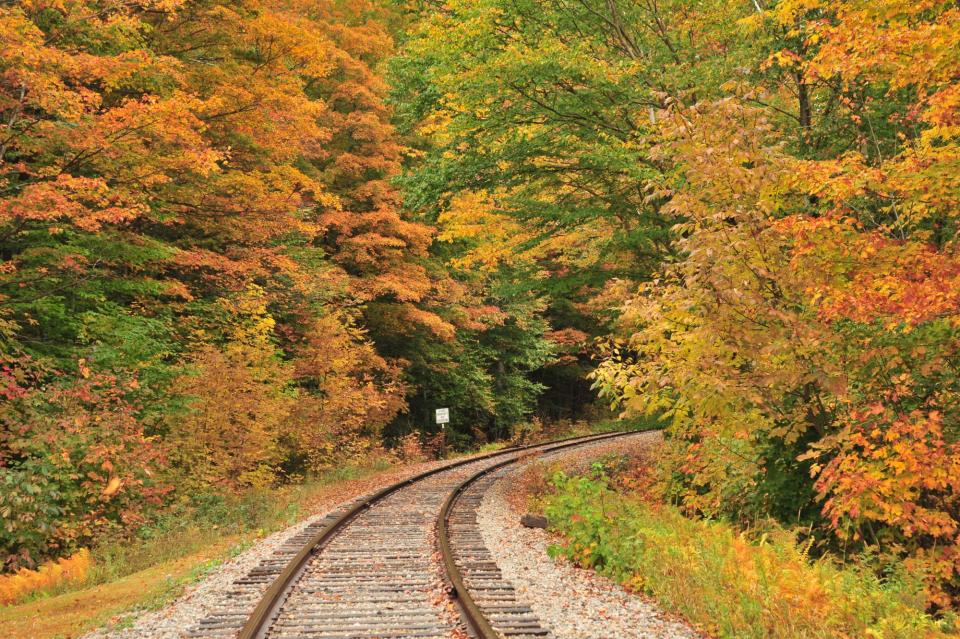 Bluegrass Scenic Railroad and Museum