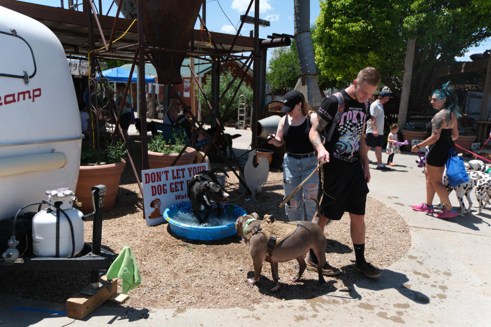 A couple of dogs cool off Sunday at the 30th annual Muttfest at the Starlight Ranch Event Center in Amarillo.