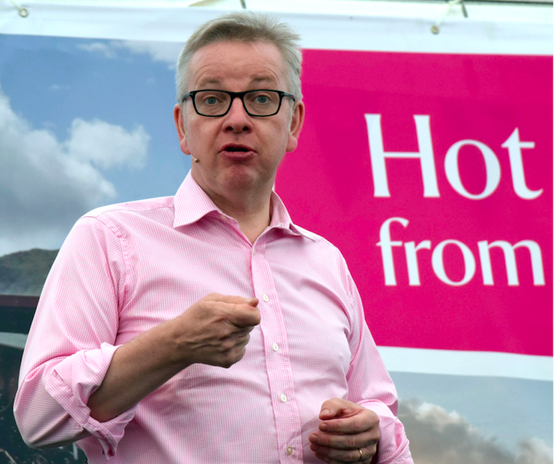 <em>Compassion in World Farming is urging Environment Secretary Michael Gove research alternative slaughter methods (Rex)</em>