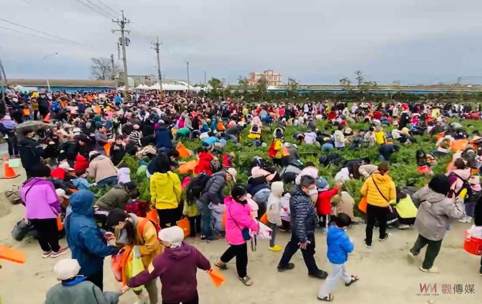 VDS活力東勢總經理王文星表示，東勢鄉的土地質地和獨特的氣候海風，加上使用優質種子，種出的胡蘿蔔特別鮮甜美味，具有出口品質，可以在國外超市見到。今年的國際胡蘿蔔日以「農機－拔出新蔔 科技薪傳」為主題，特別感謝日本OSADA農機株式會社的協助，打造了適合台灣的胡蘿蔔採收機，使胡蘿蔔的採收更加順利。