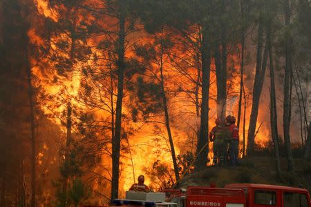 Firefighters work to put out fire during a forest fire in Capelo, near Gois, Portugal, June 21, 2017. REUTERS/Rafael Marchante