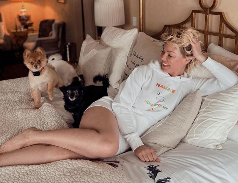 Katherine Heigl, Dogs, Instagram