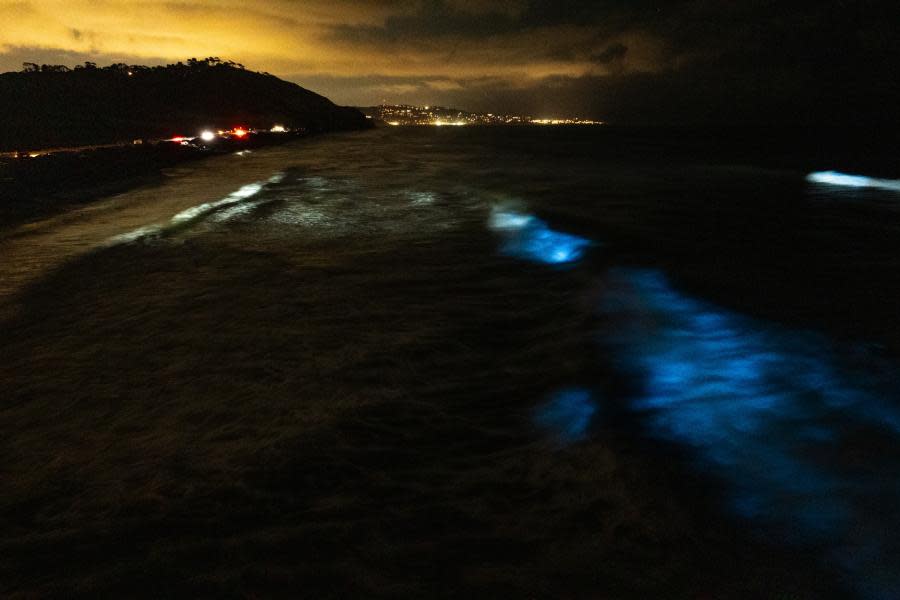 Olas bioluminiscentes regresan las costas de San Diego 