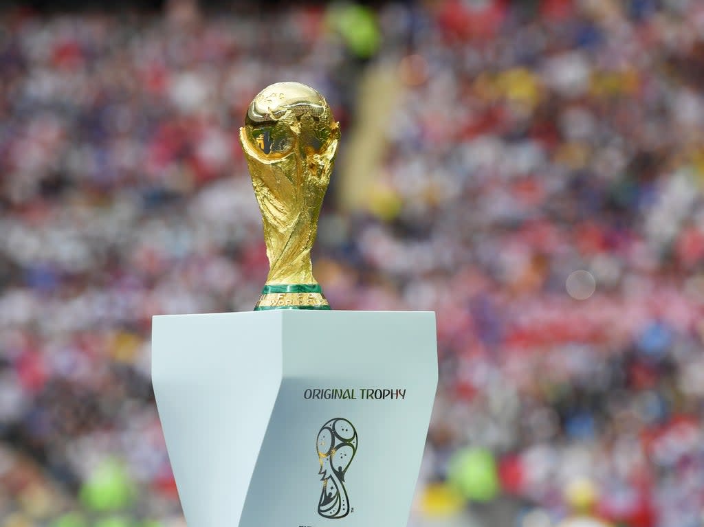 What would competing for the Jules Rimet trophy every other year do to the football calendar and the players themselves?  (Getty)