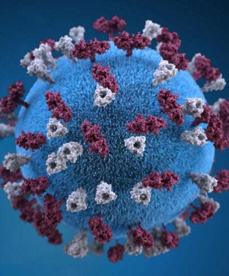 3D graphical representation of a spherical-shaped, measles virus particle that is studded with glycoprotein tubercles. Montgomery County and Philadelphia health officials are warning of possible measles exposures.