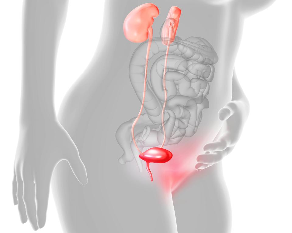 Severe UTIs can become kidney infections. (Image via Getty Images)