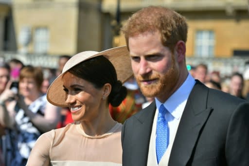 Britain's Prince Harry and his new wife Meghan will have wide appeal in the Commonwealth, the chief executive of the Commonwealth Games believes