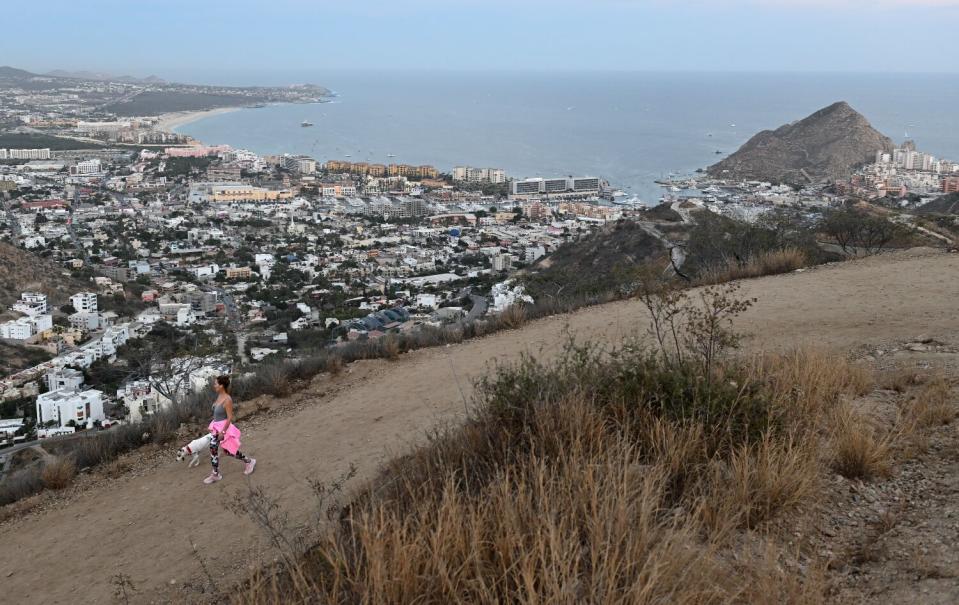 A hillside overlooking a seaside town.