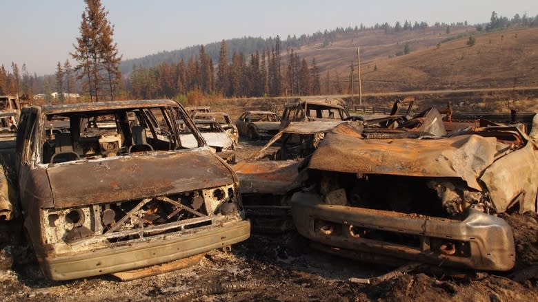 When wildfires emptied the area west of Williams Lake, B.C., they stayed behind