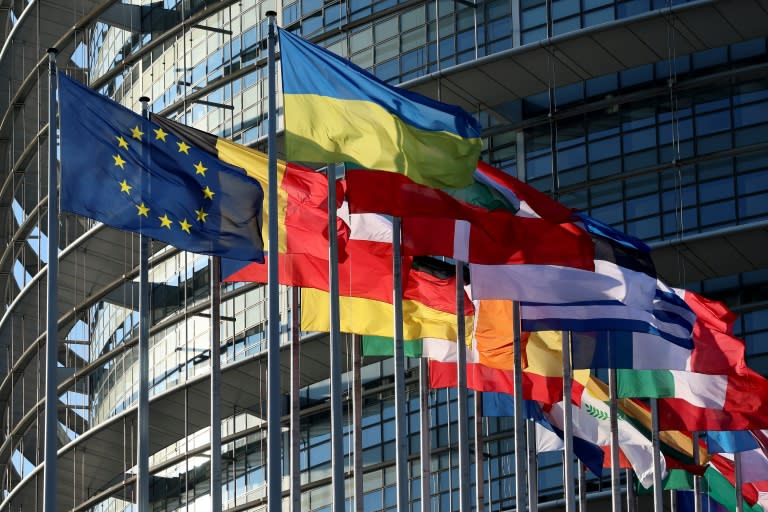 Les drapeaux des pays membres de l'UE devant le Parlement européen à Strasbourg, le 23 avril 2024 (FREDERICK FLORIN)