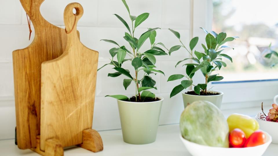 Storing cutting boards in a cutting board stand