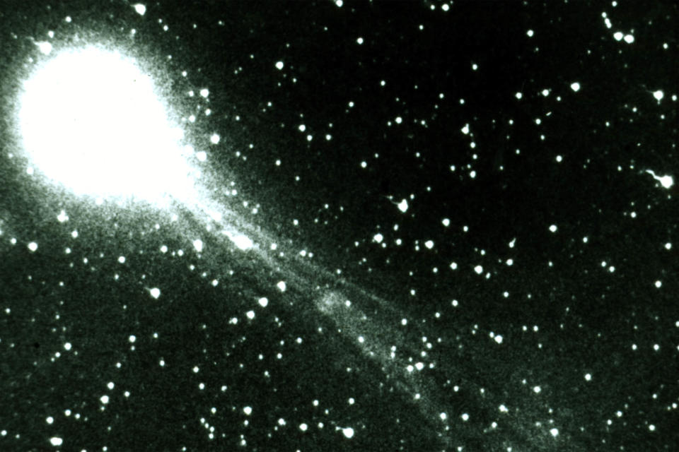 Halley's Comet 1986. (Photo by Liaison)