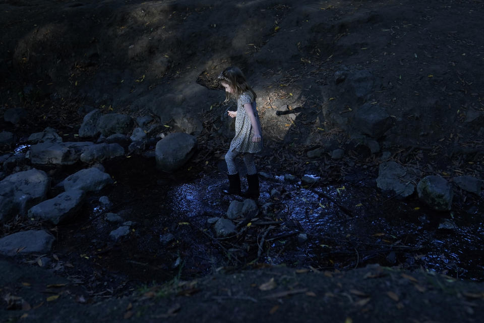 Aylah Levy, 6, walks on rocks in a creek at Codornices Park, a location she attended as a Berkeley Forest School student, during an interview with her mother, Hannah, in Berkeley, Calif., Wednesday, Nov. 8, 2023. (AP Photo/Jeff Chiu)