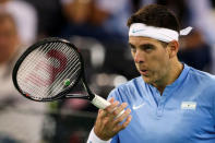 Tennis - Croatia v Argentina - Davis Cup Final - Arena Zagreb, Croatia - 25/11/16 Argentina's Juan Martin del Potro reacts during his match against Croatia's Ivo Karlovic. REUTERS/Marko Djurica