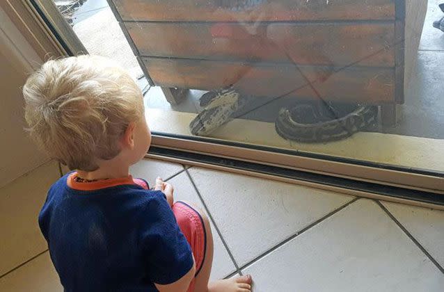 A Nambour woman barricaded herself and her two-year-old inside when she spotted a two-metre python outside. Picture: Megan Manly