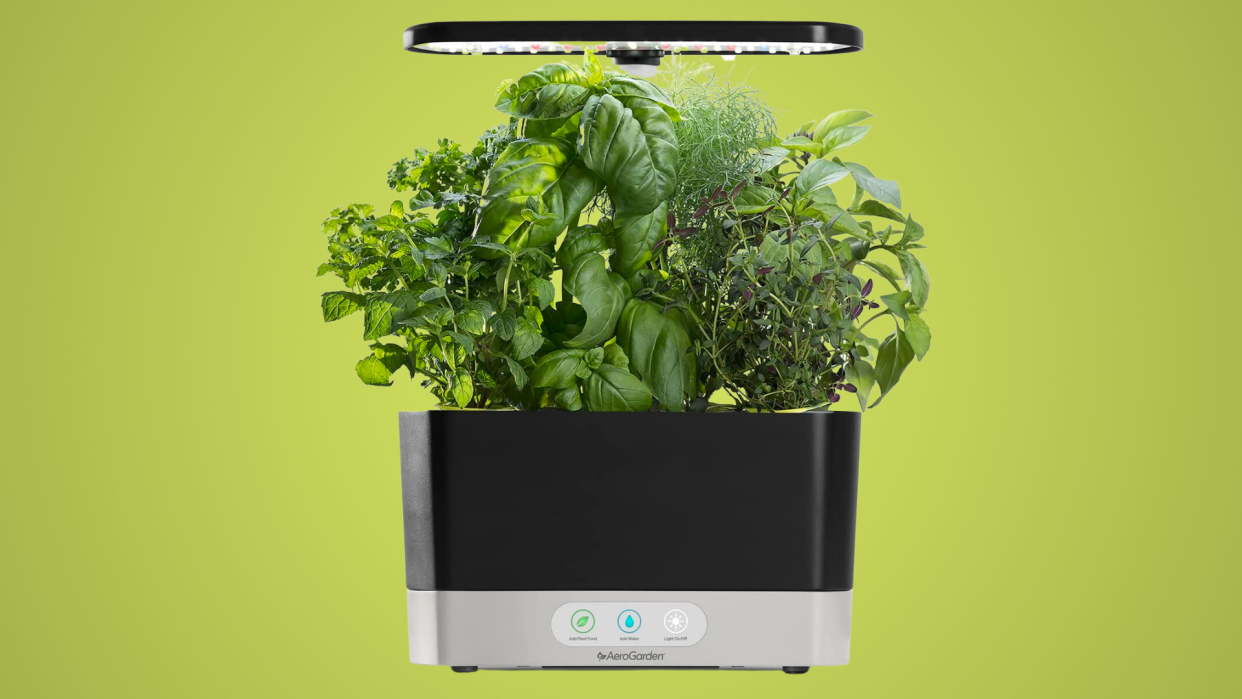 Plants may hate me, but they love this smart garden. (Photo: Amazon)