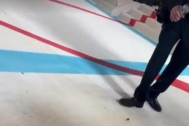A  cockroach was spotted crawling on the Met Gala&#x002019;s red carpet last night in New York (ES video)